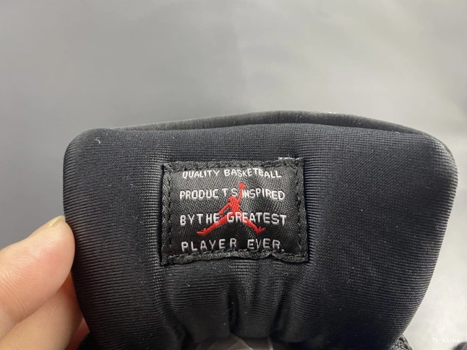 Rep TBK AIR AR0715-010 ANIMAL JORDAN INSTINCT 11 0710